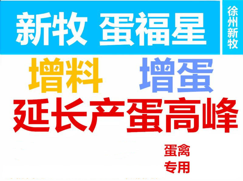 鸡下的蛋是软蛋怎么办,鸡下软壳蛋怎么处理