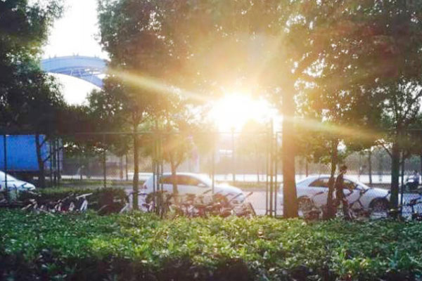 竹筷和塑料筷子哪个好,竹筷和银筷哪个好