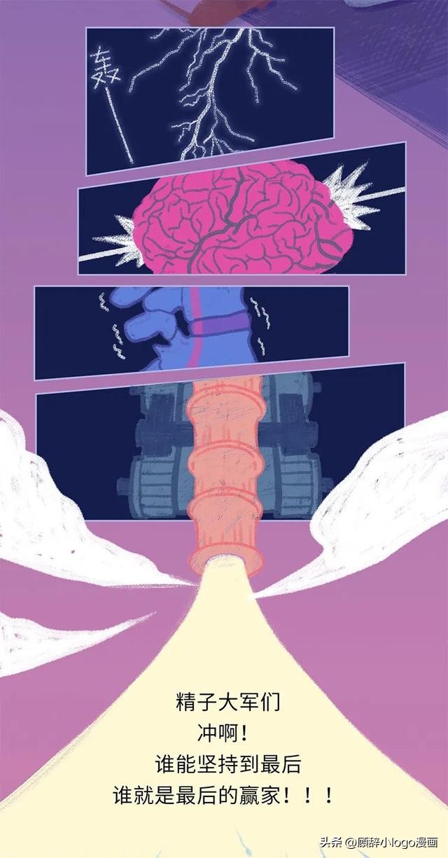 精子进入女生体内的24小时，都发生了些什么？太励志了！（漫画）