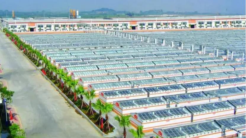 蒸发3000亿！超市最会赚钱的一哥，被谁打回原形？