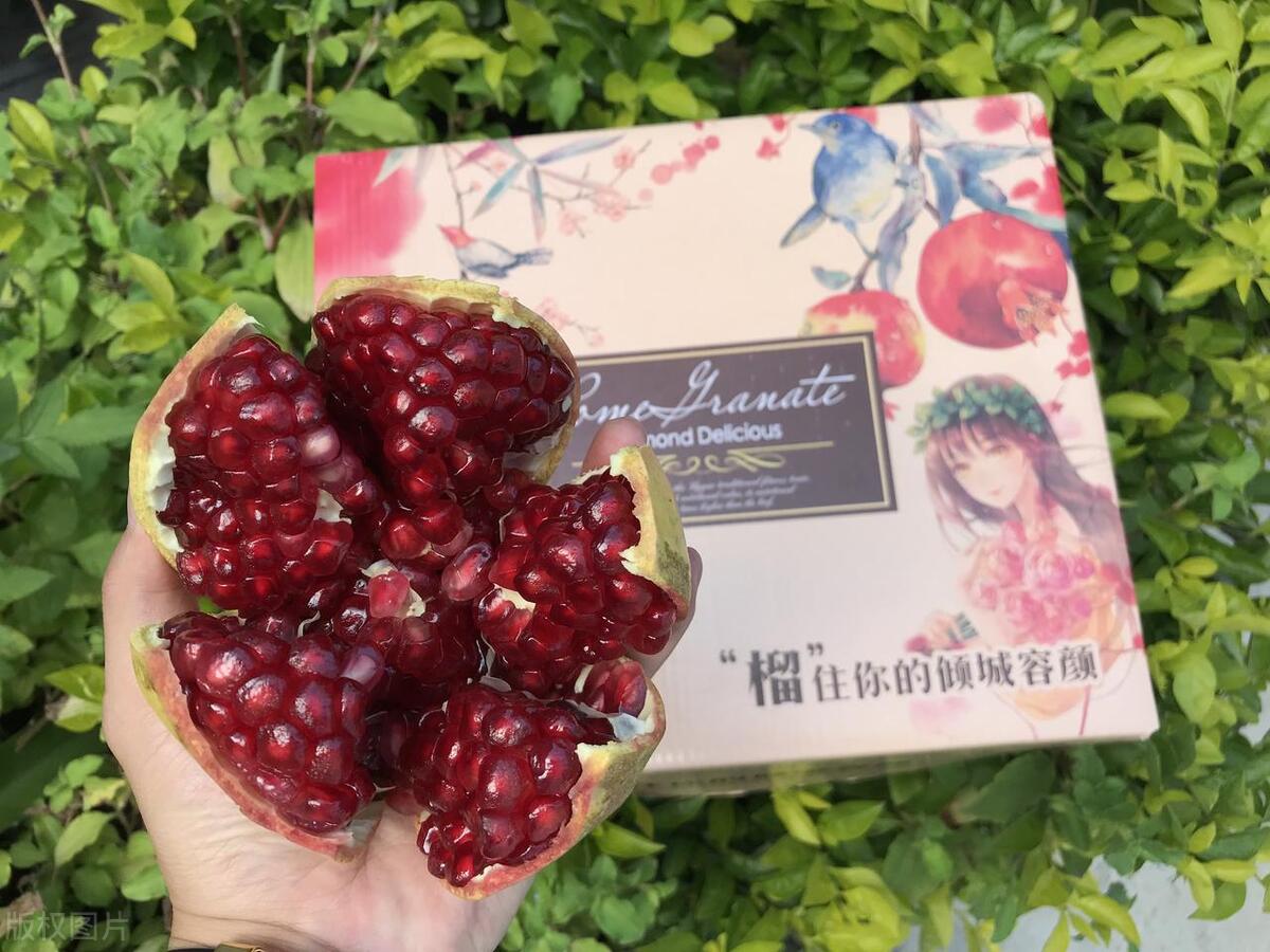 当代年轻人返乡创业做什么,什么是新农人大学生返乡创业