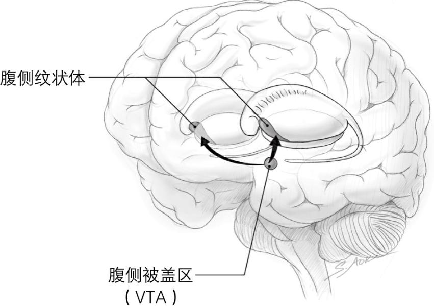 减肥控制食欲最好的方法,控制食欲最好的方法