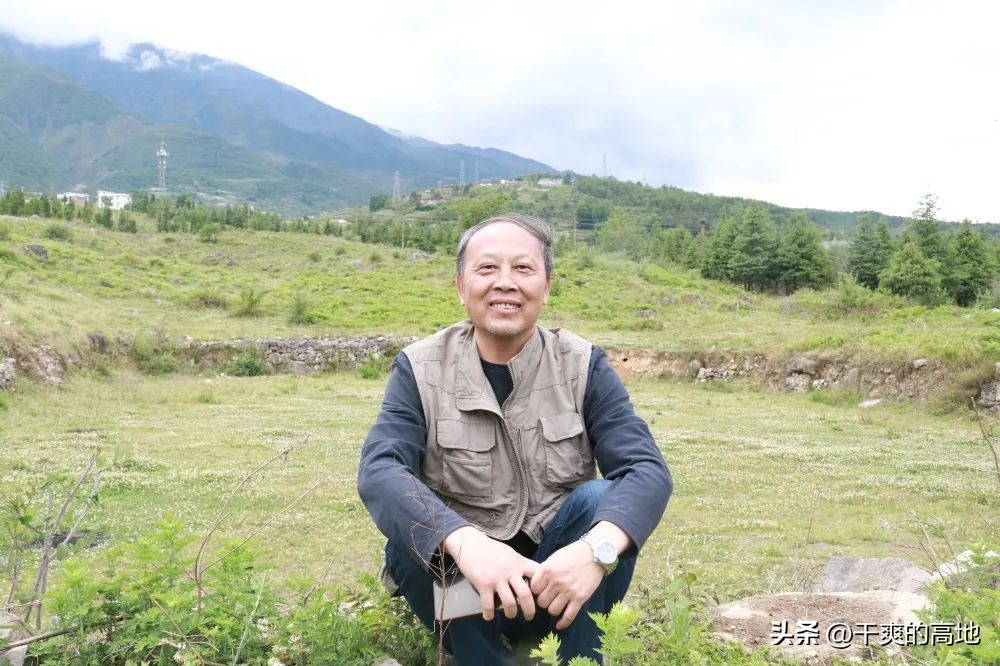 红蜻蜓散文朗诵,金波散文红蜻蜓读后感