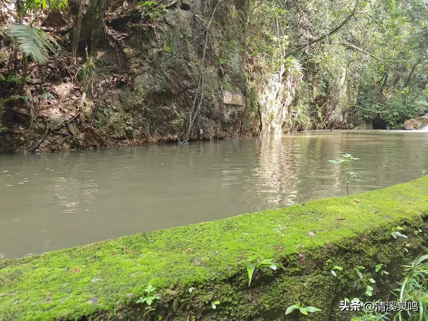 白水寨亲瀑台,白水寨瀑布最佳观景台多高