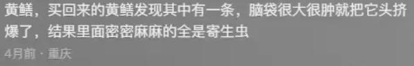 你见过哪些赚钱不要命的人,你见过什么最赚钱的门道