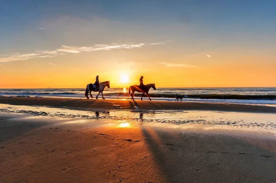 2023华杯赛夏令营,华誉外交官夏令营