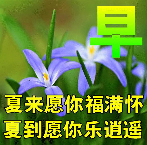 12月8日早上好,早安祝福语美好的一天从问候开始