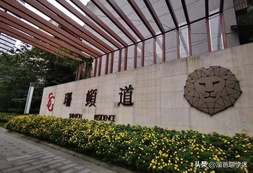 一校三区→一校五区？从不设分校的“金花学校”要爆发？