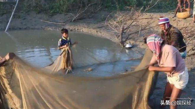 何庆魁的字画值钱吗,李甲忠和何庆魁谁的字画值钱