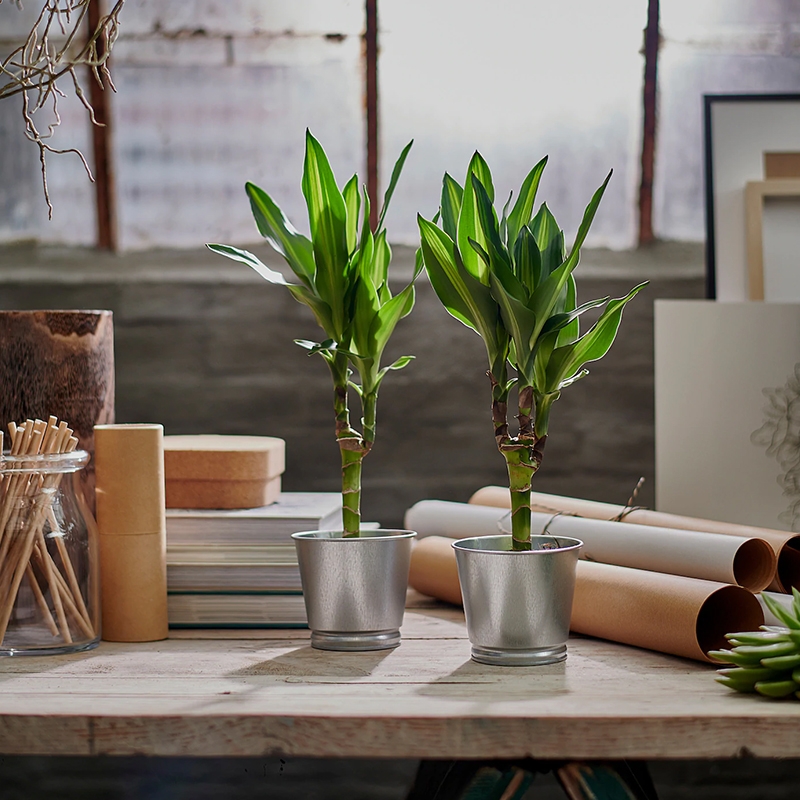 宜家必买的30件好物学生,宜家10元以下好物推荐