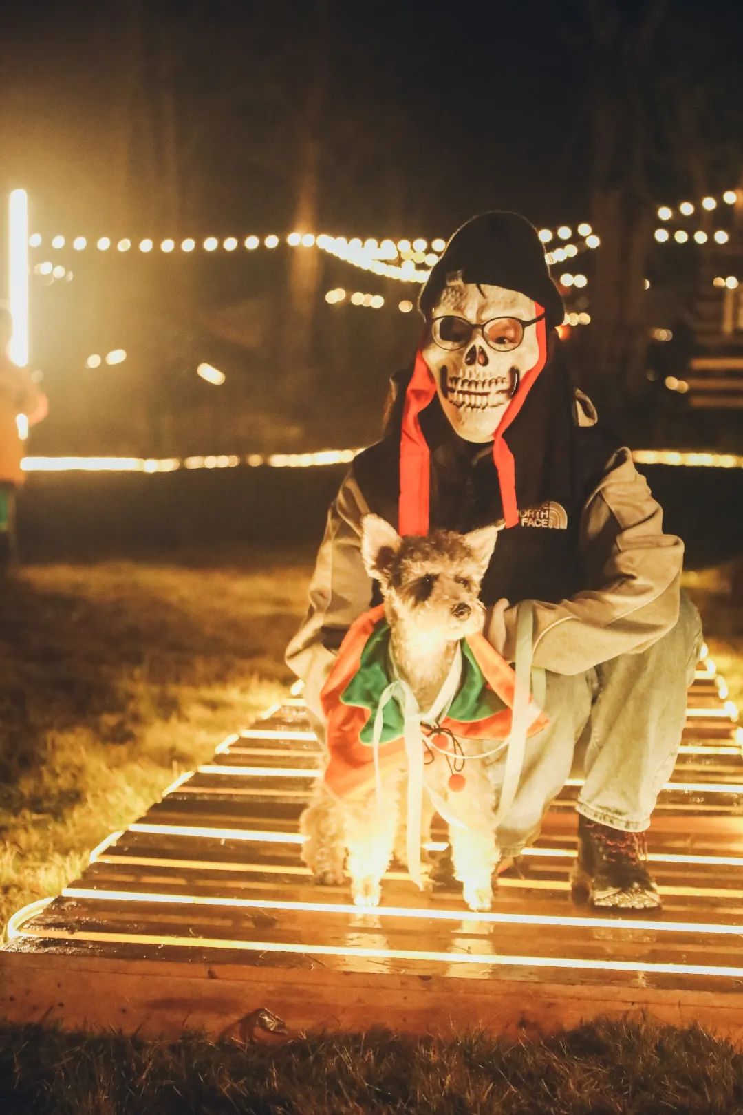 萌宠万圣狂欢夜,萌宠露营云龙区