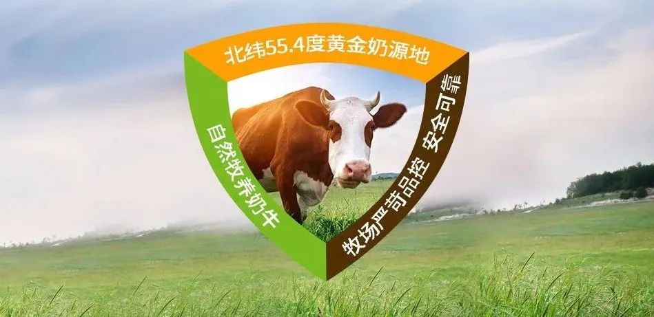 arla宝贝与我丹麦版测评,arla宝贝与我中文版怎么样