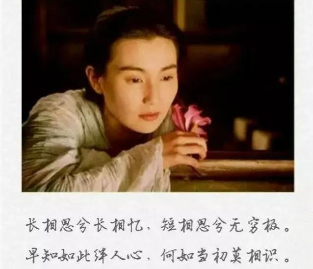 古言全文完整版,古言完结文宿命情牵