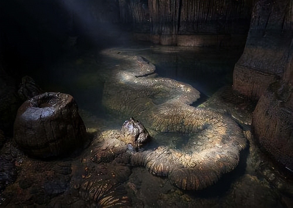 高邮湖出现罕见龙吸水,2007年高邮湖出现龙吸水奇观