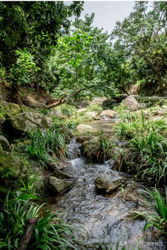 广州室内避暑的地方,广州夏日避暑胜地