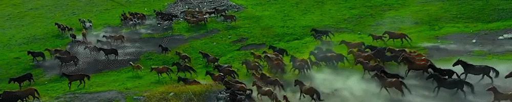 美方对反倾销税的看法,商务部对美反倾销调查立案