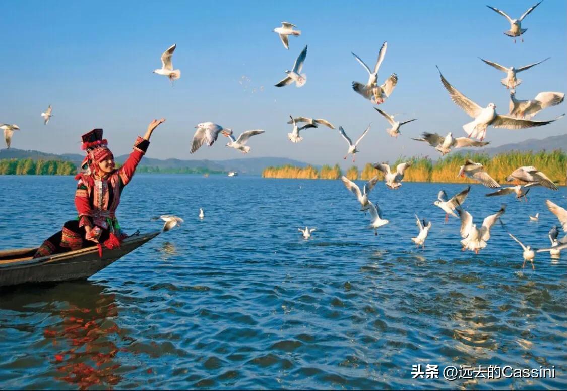 知乎成了编乎，微博成了歪博，头条还能坚守的住吗？