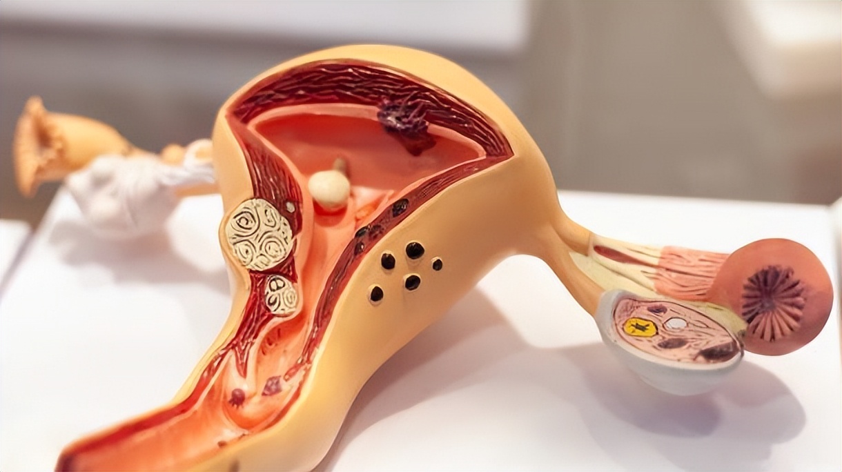 女的处对象多了有什么危害,女人处对象处多了会怎么样