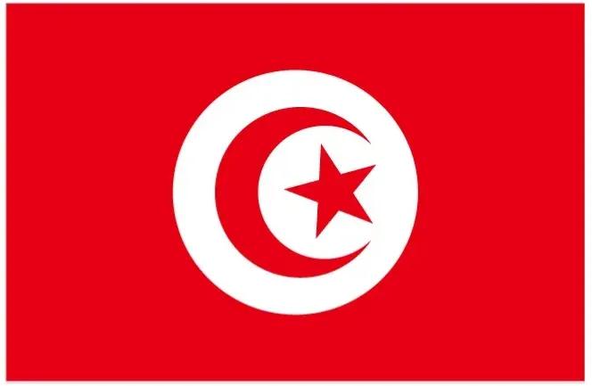 世界杯32强解析埃及,世界杯32场比赛回放