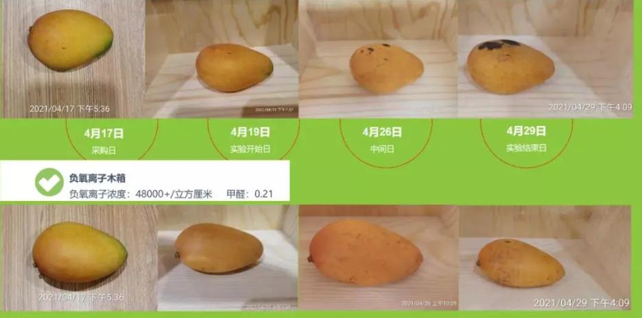 负氧离子为什么可以去除自由基,负氧离子是如何清除自由基