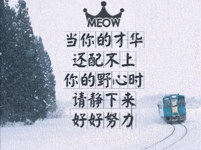 人生语录正能量人生感悟六句,生活不易活好当下经典语录