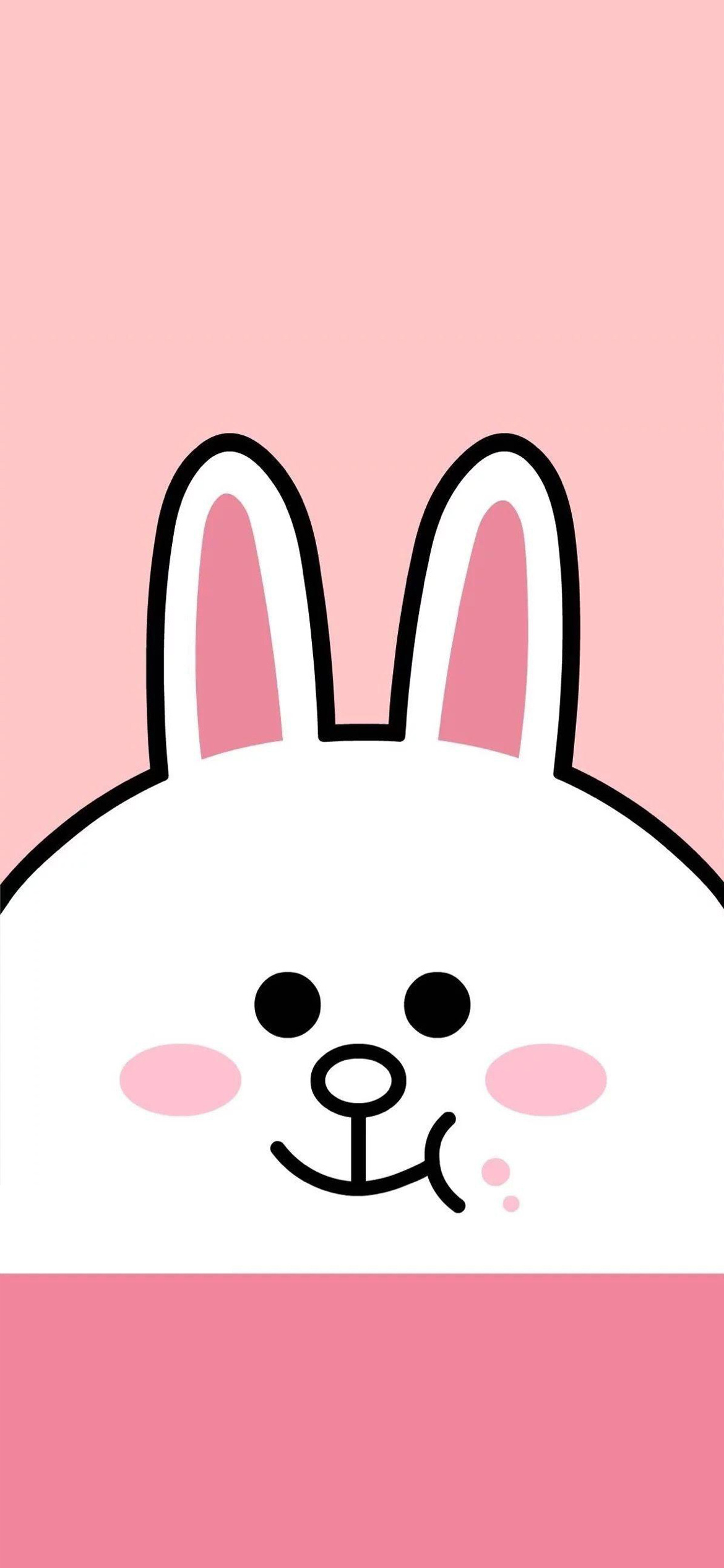 布朗熊和可妮兔壁纸,可妮兔布朗熊两个的手机壁纸