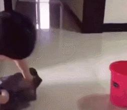 毕业季即将来临,毕业季小猫