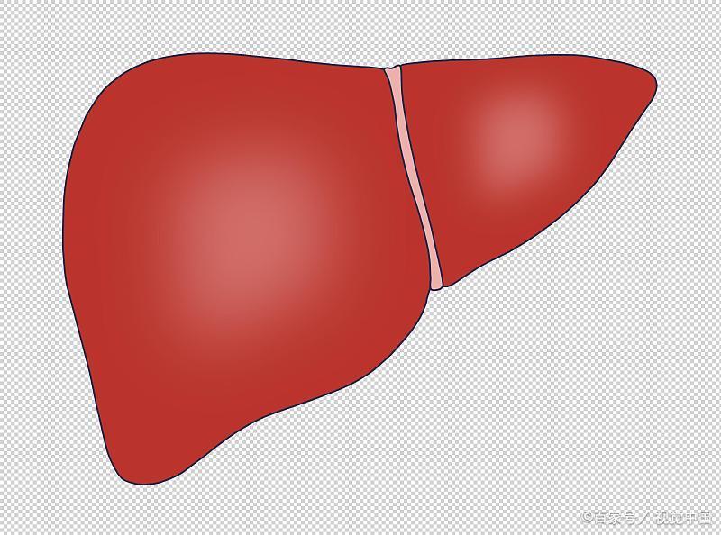 “甲硝唑”几块钱一瓶，或能帮你“摆平”5种疾病，你知道几个？