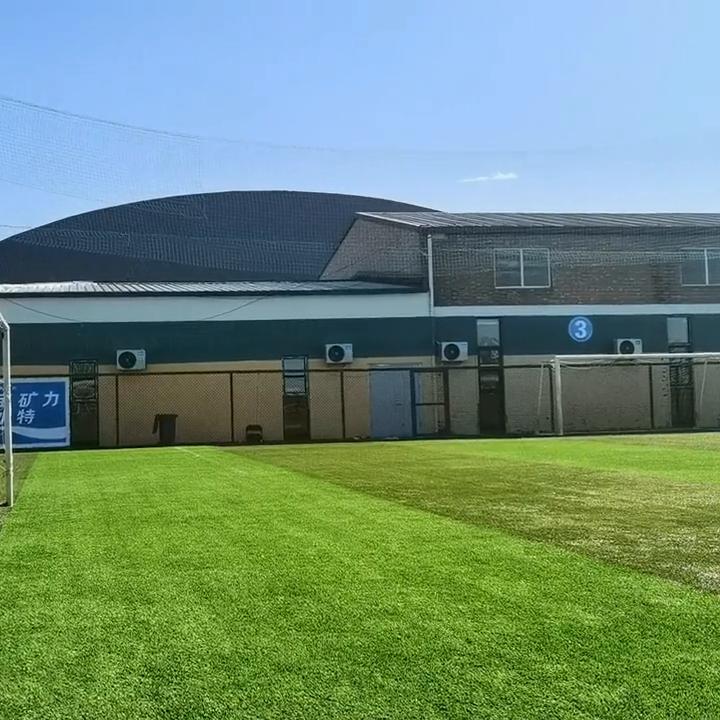 2021年单招足球总人数,2024年全国足球单招