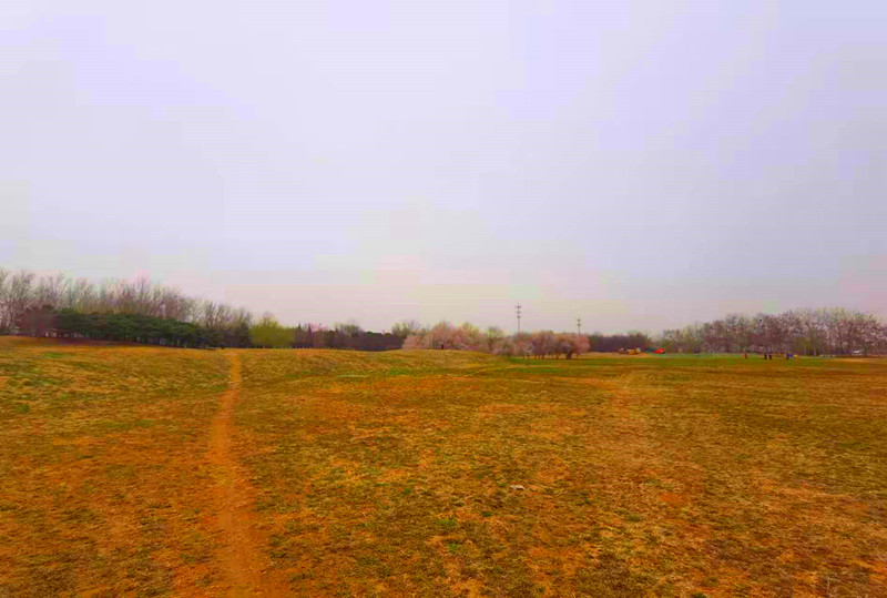 地铁达道附近有公园吗,地铁直达的昆明湿地公园