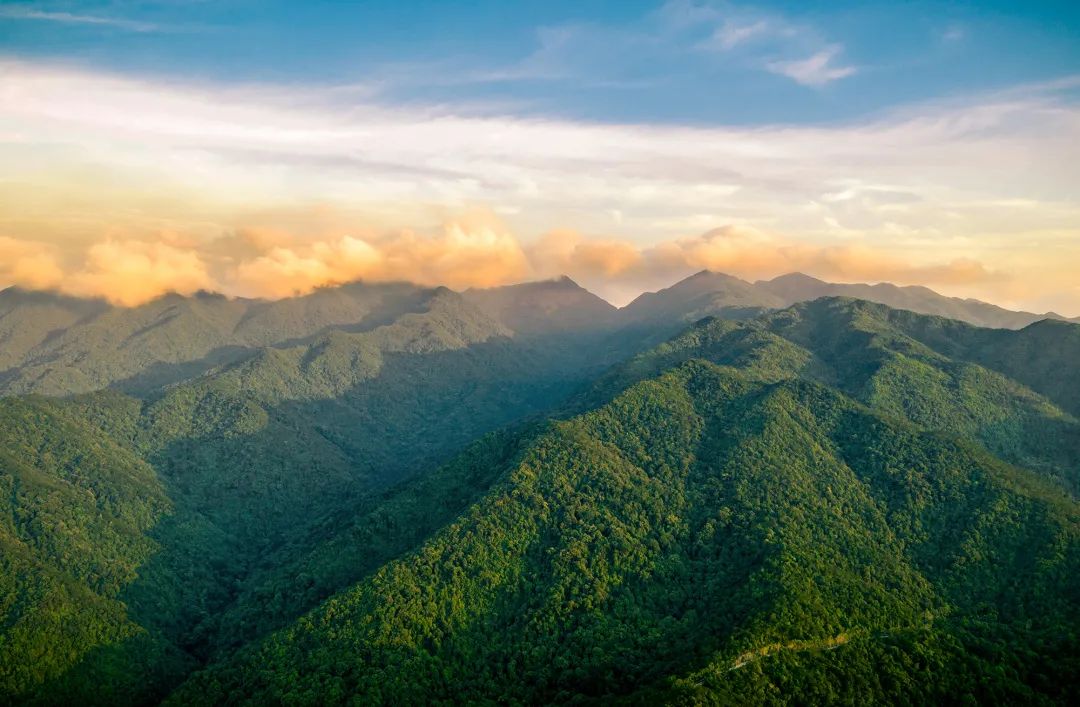 父爱如山如大海般深沉,父爱如山就是最伟大的爱