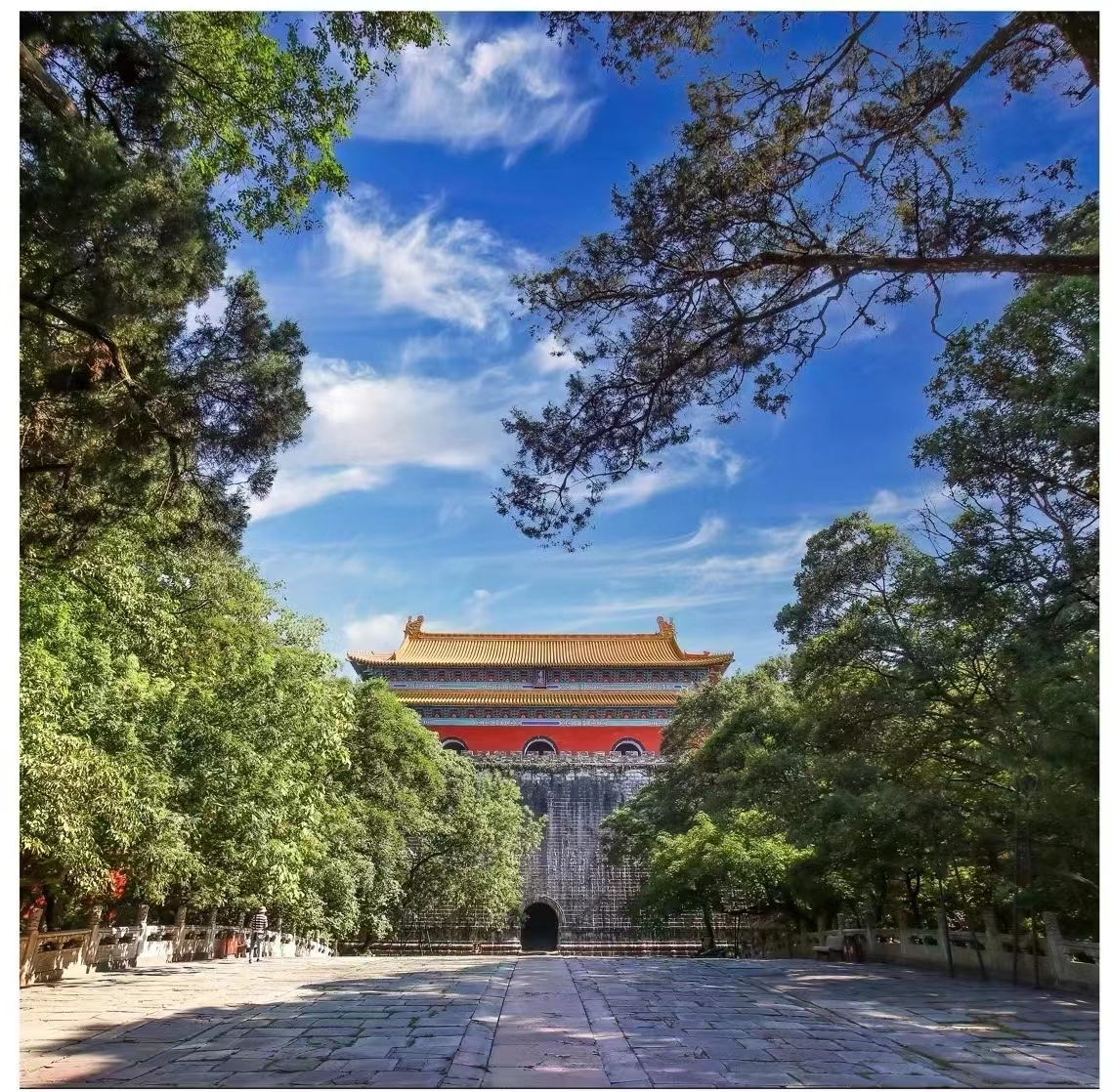 科学保护多元阐释——《明孝陵新志》《明孝陵图录》等四本文化书籍与公众见面|方志新闻