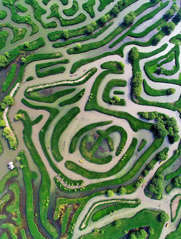 江苏盐城美食推荐,记忆中的盐城美食