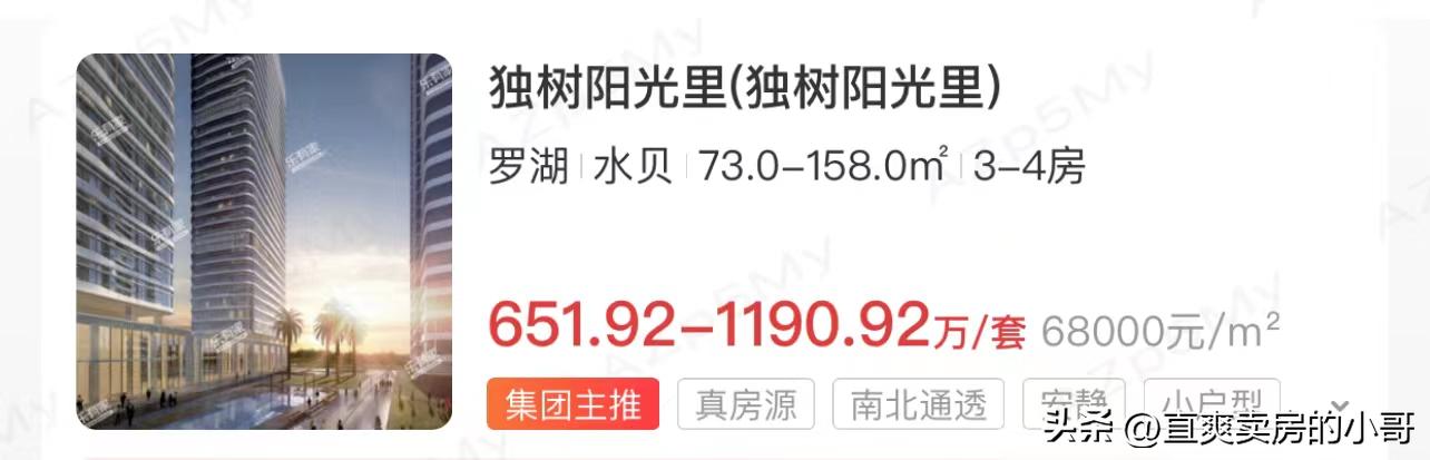 罗湖03片区小学排名,深圳罗湖06学区积分