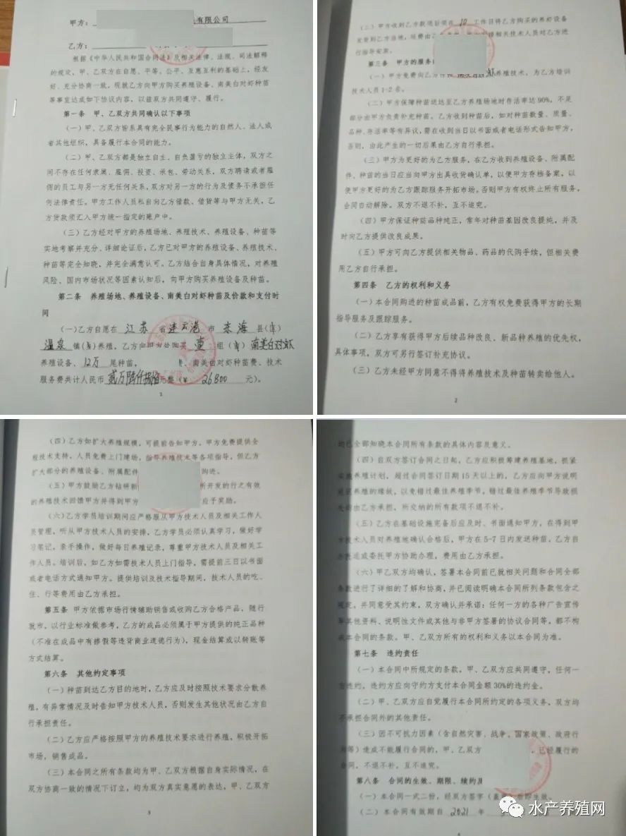 帆布池养殖加盟套路,帆布池养殖风险分析