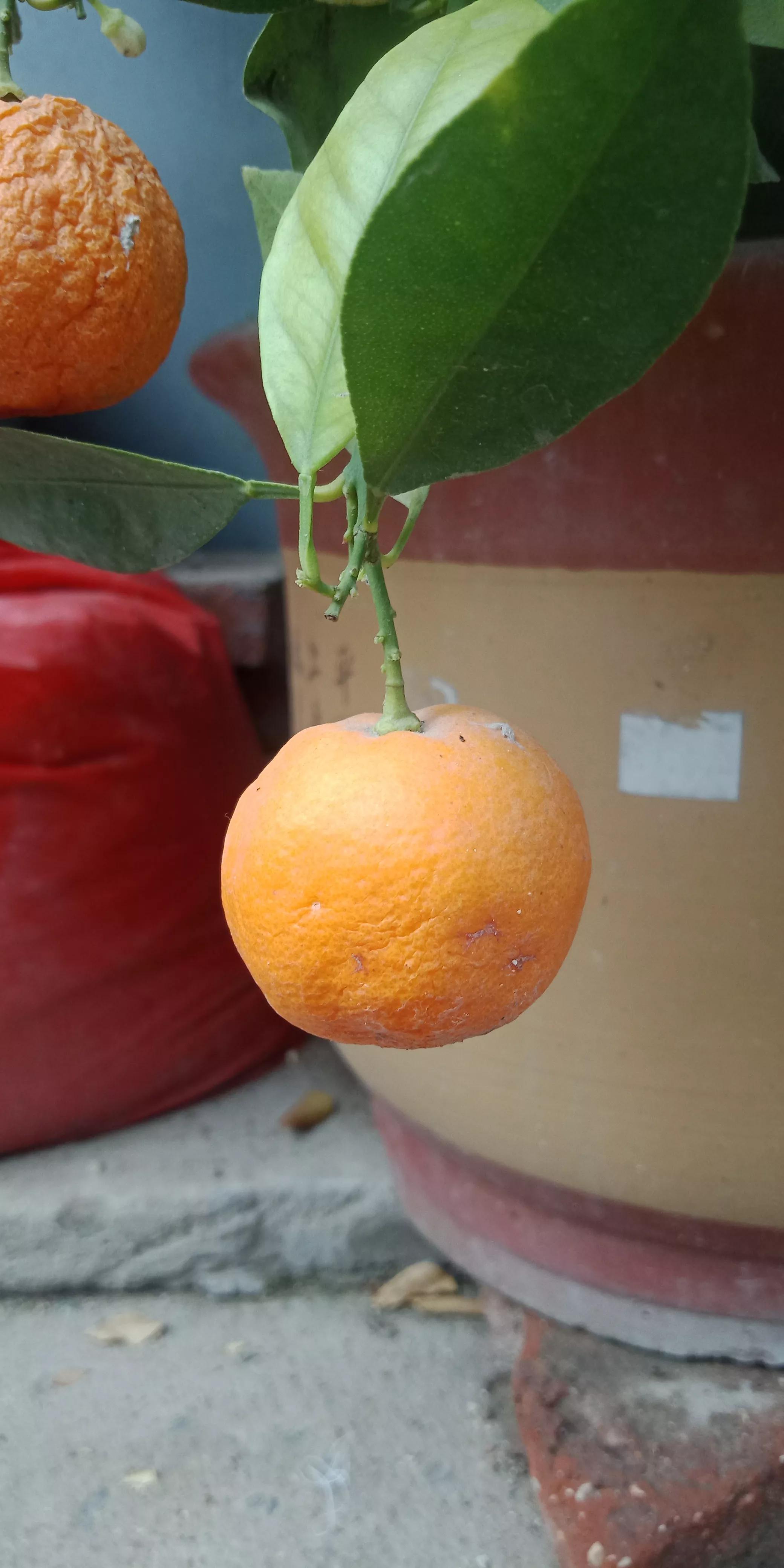 房屋漏水房顶需要怎么改造,旧房改造后楼顶漏水找哪里处理