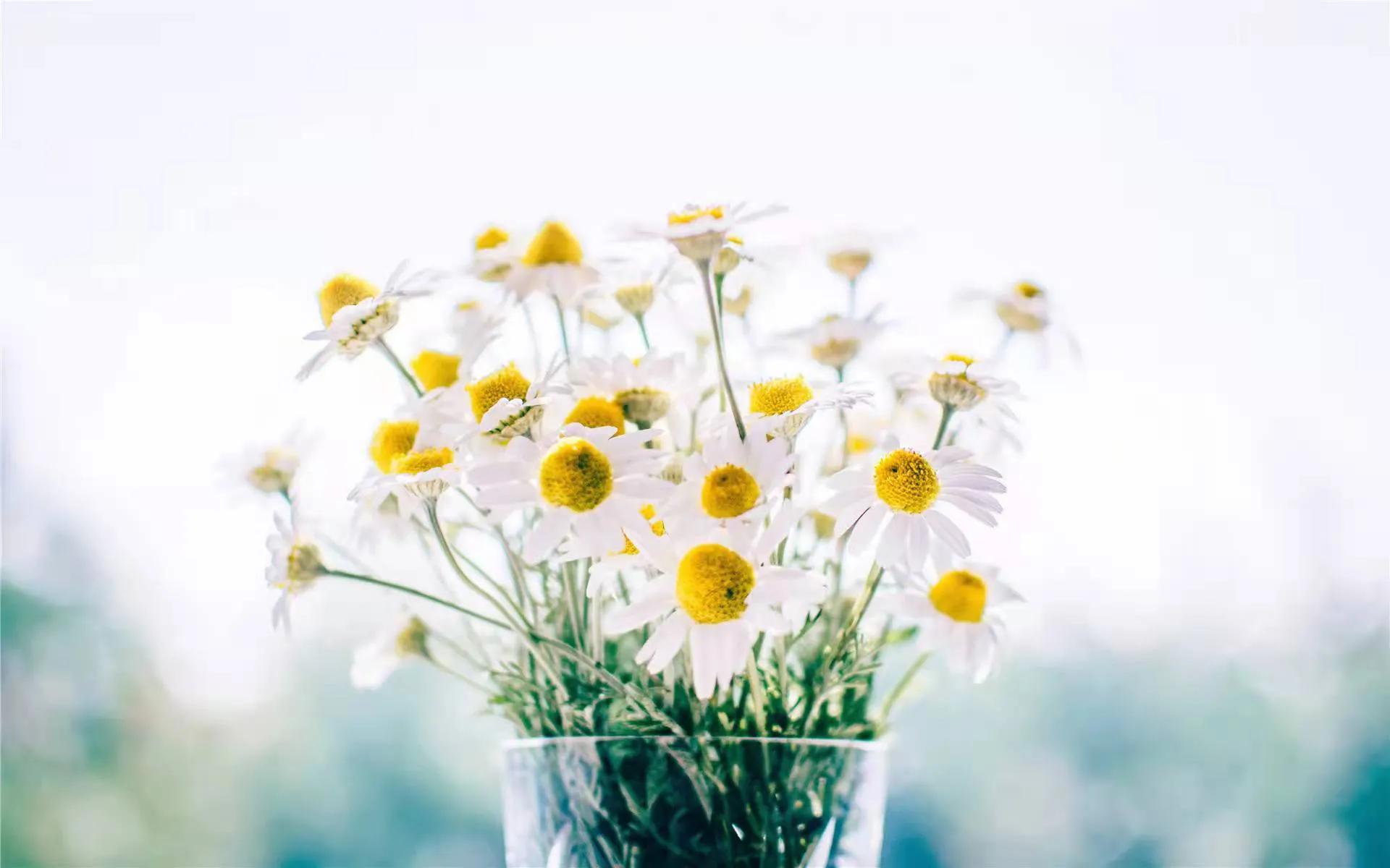 皮肤干燥会引起泛红吗,皮肤干燥会导致皮肤粗糙吗