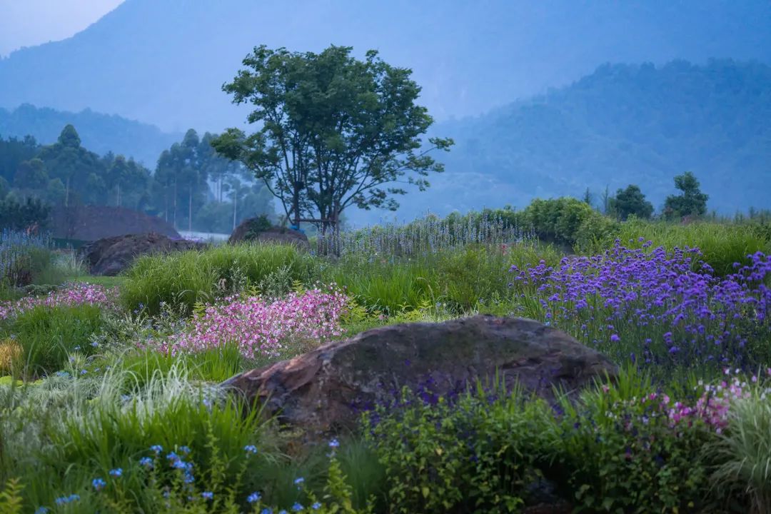 特色小镇的细节设计,生态旅游型特色小镇节能报告案例
