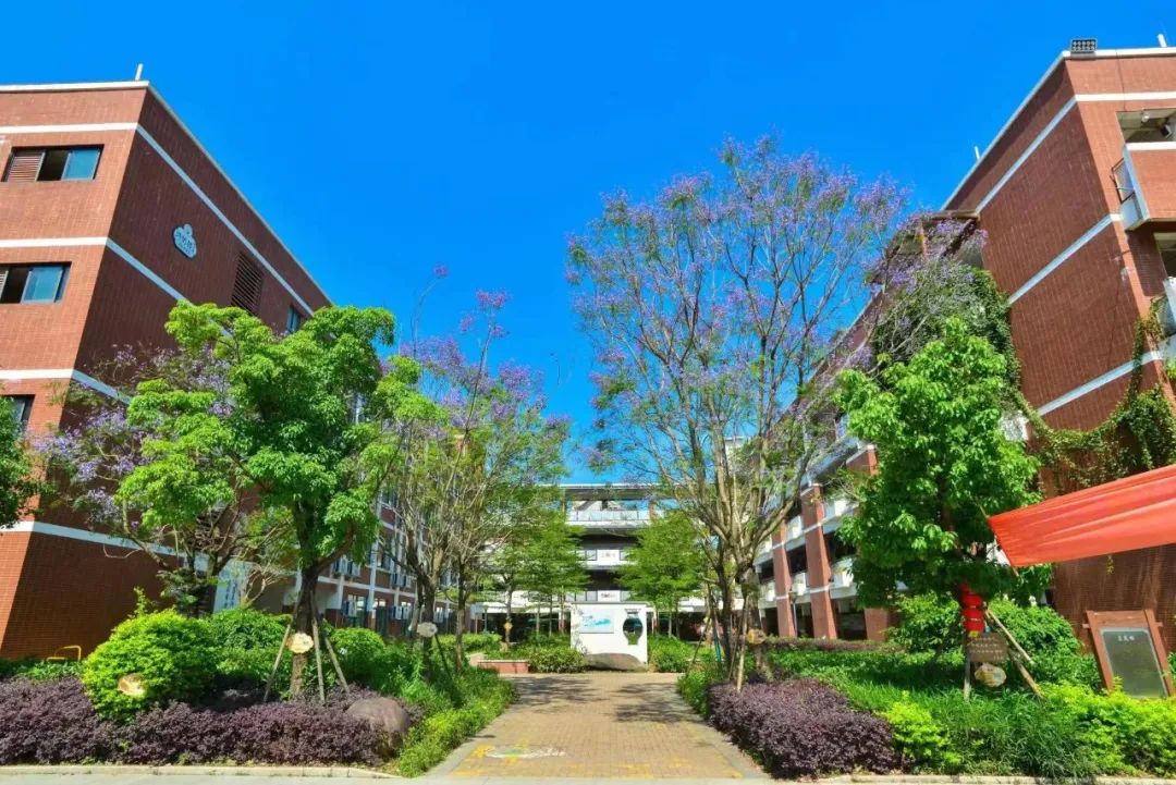 私立学校高薪招聘教师,小学百万年薪招教师