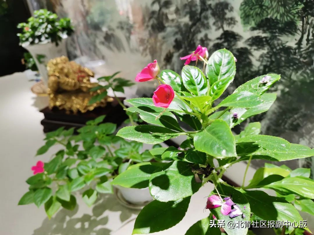 38年老字号美食探店通州,寻味通州运河美食