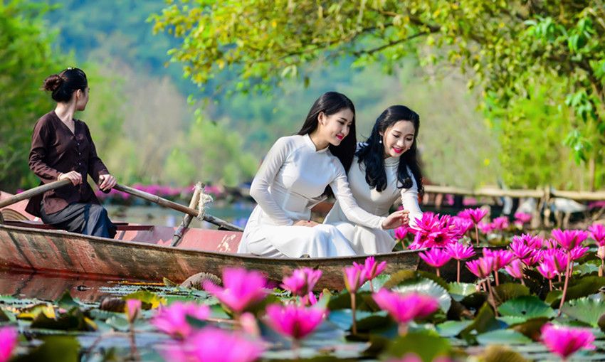 采莲曲描绘采莲姑娘美丽的诗句,赞美采莲歌的七绝诗