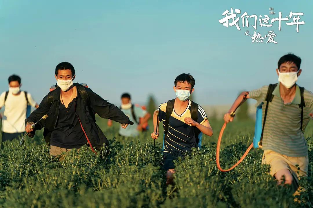 我们这十年之热爱张雷,我们这十年张雷全集