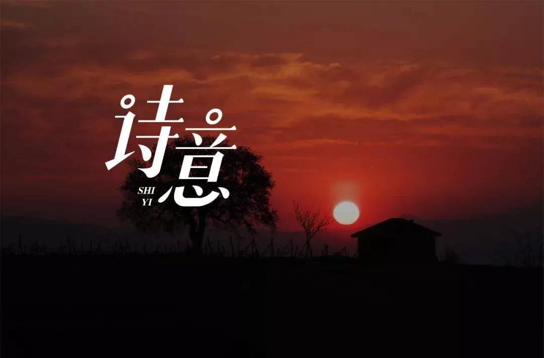 格律诗需要对仗吗,格律诗的对仗有哪些讲究