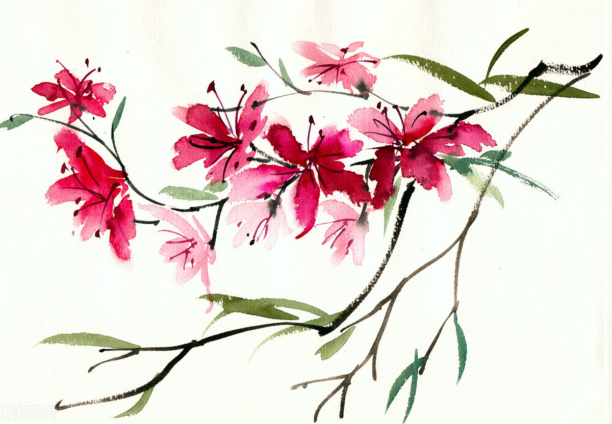 人生个性签名短句致自己,超精辟又简短的个性签名