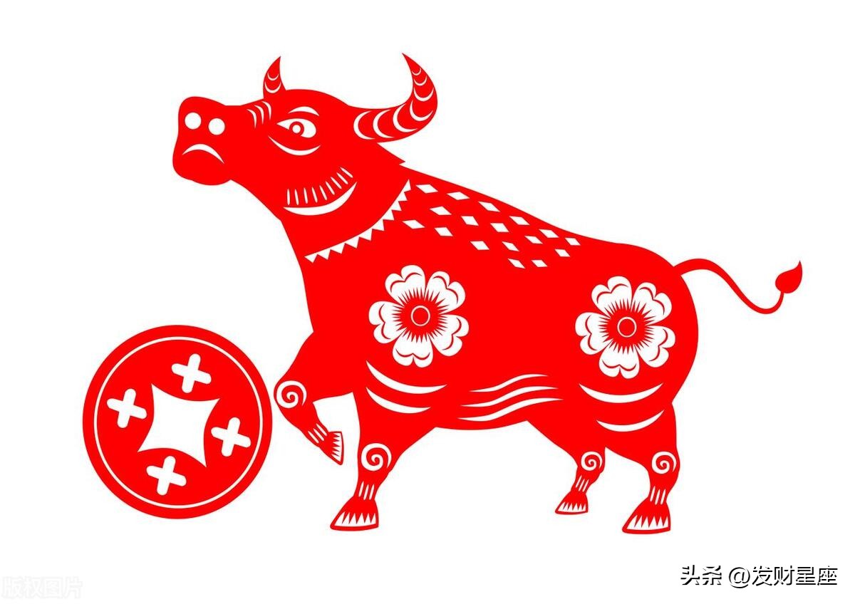 生肖牛一生最忠诚的伴侣是谁,最忠心的是什么生肖牛