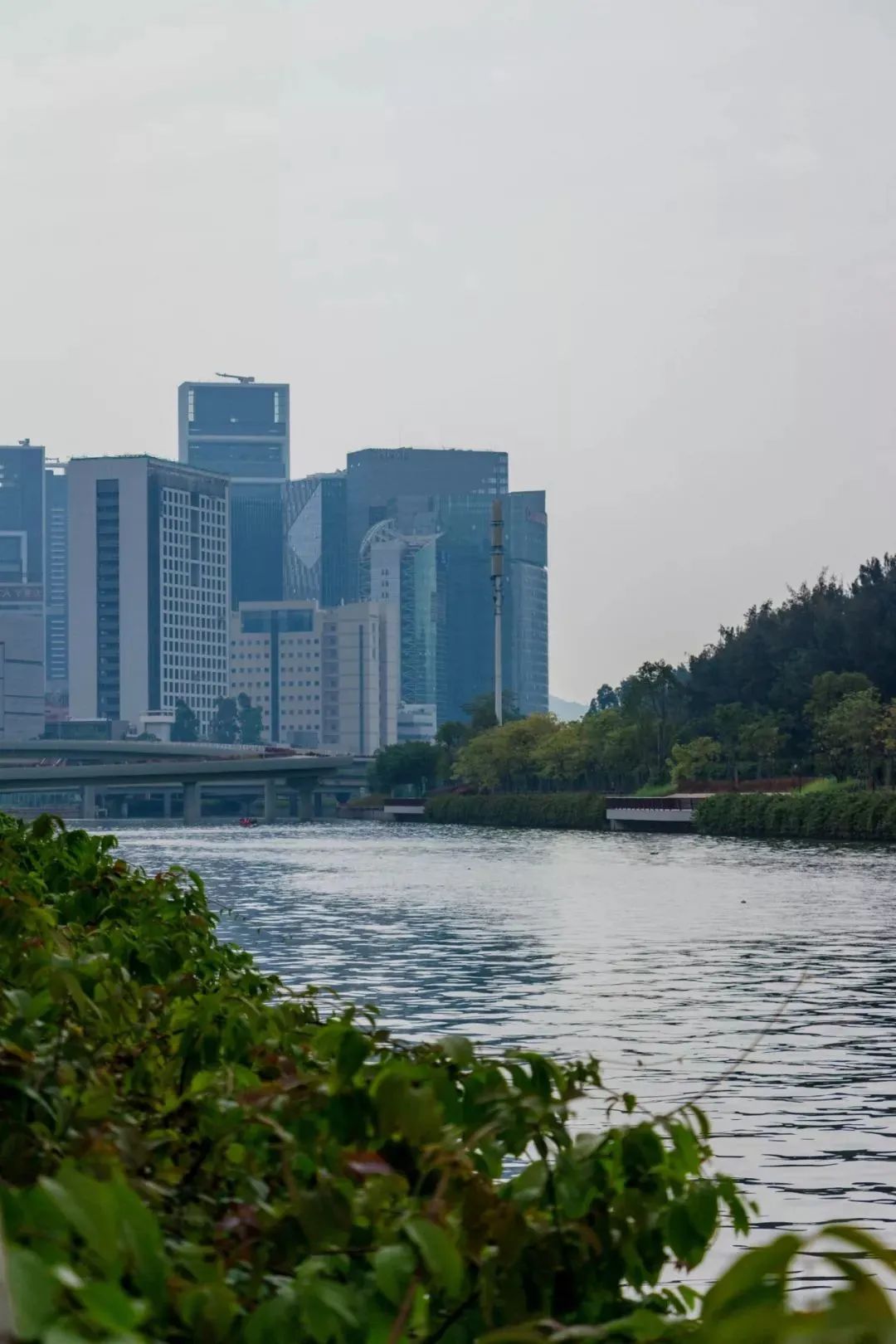 家住深圳必去的公园绿道,深圳环湖绿道好玩么