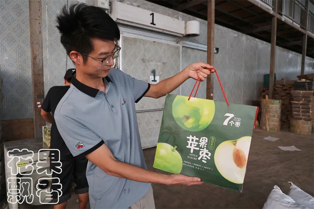 苹果枣，一颗冉冉升起的水果新星