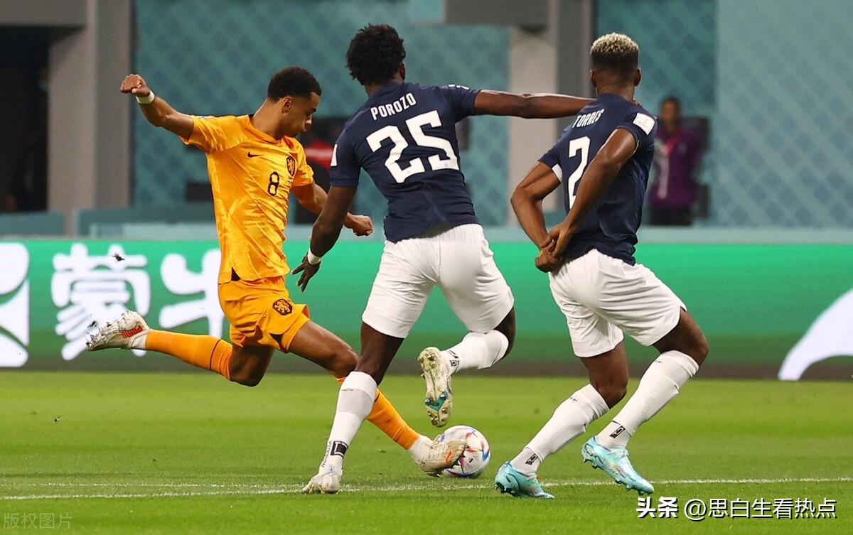 荷兰vs厄瓜多尔的比赛,卡塔尔vs荷兰会不会踢假球