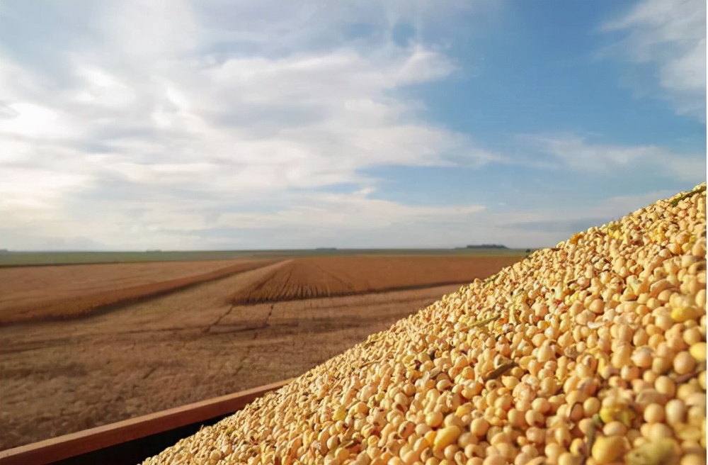 女性绝经后的5大变化,女性绝经后身体会发生三种变化