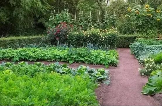 功夫巨星李连杰的资产,功夫巨星系列李连杰档案